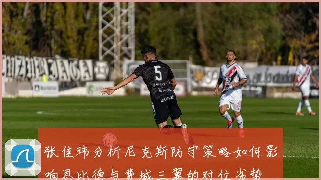 张佳玮分析尼克斯防守策略如何影响恩比德与费城三翼的对位劣势